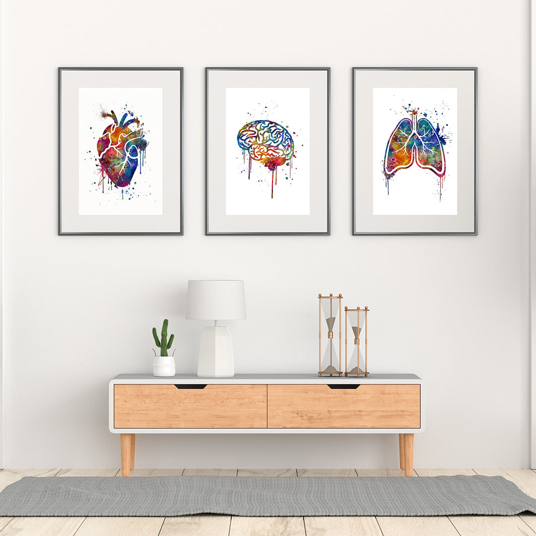 Set of 3 Art Prints Human Brain Heart and Lungs