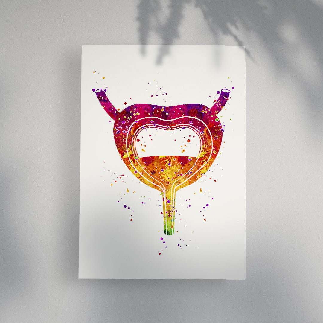 Urinary System Poster Bladder Watercolor Art Print