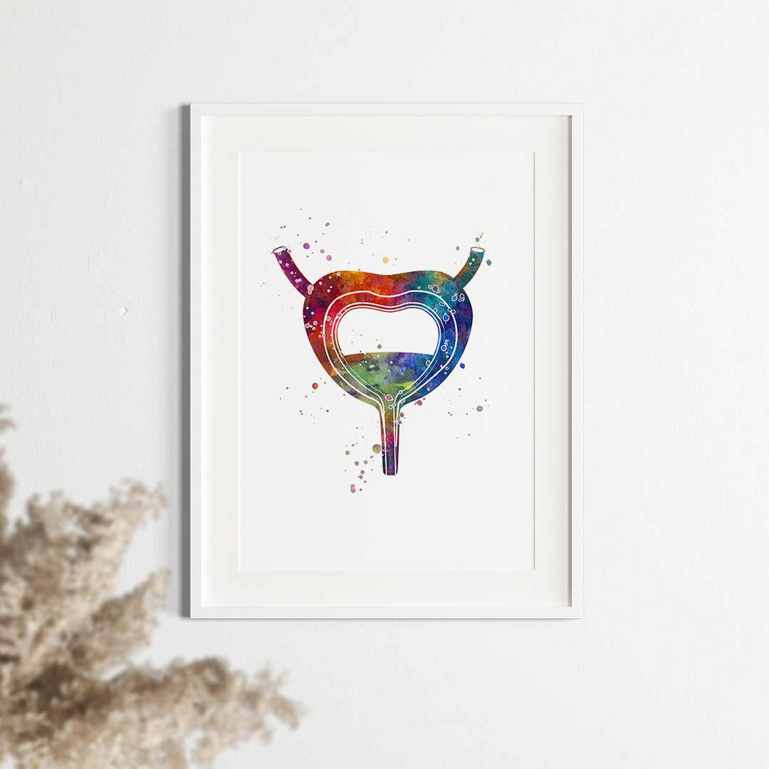 Bladder Anatomy Art Watercolor Print Urology Clinic Decor