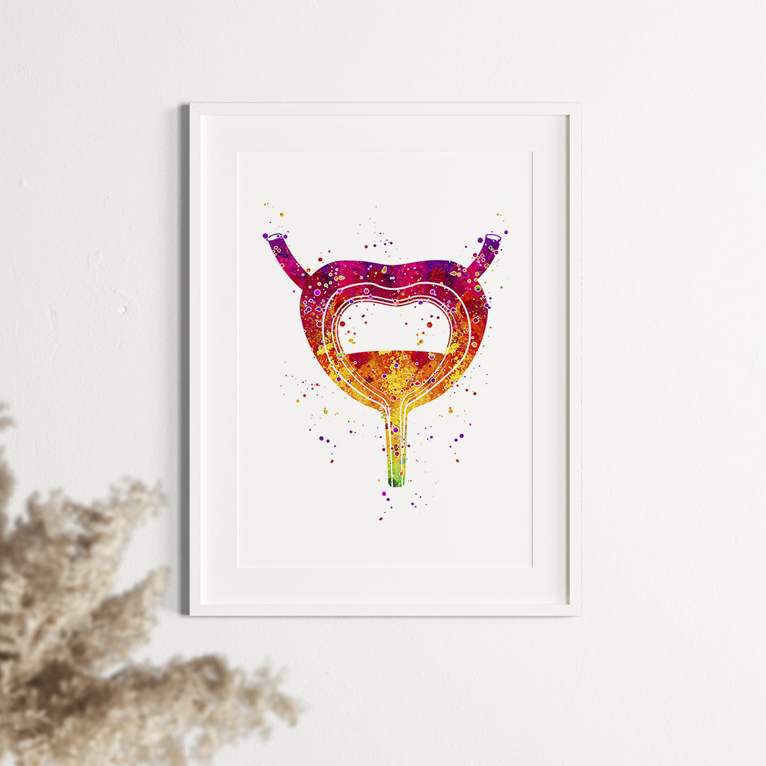 Urinary System Poster Bladder Watercolor Art Print