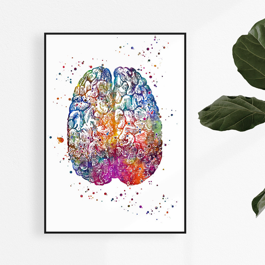 Brain Anatomy Art Print – Watercolor Poster for Medical Office