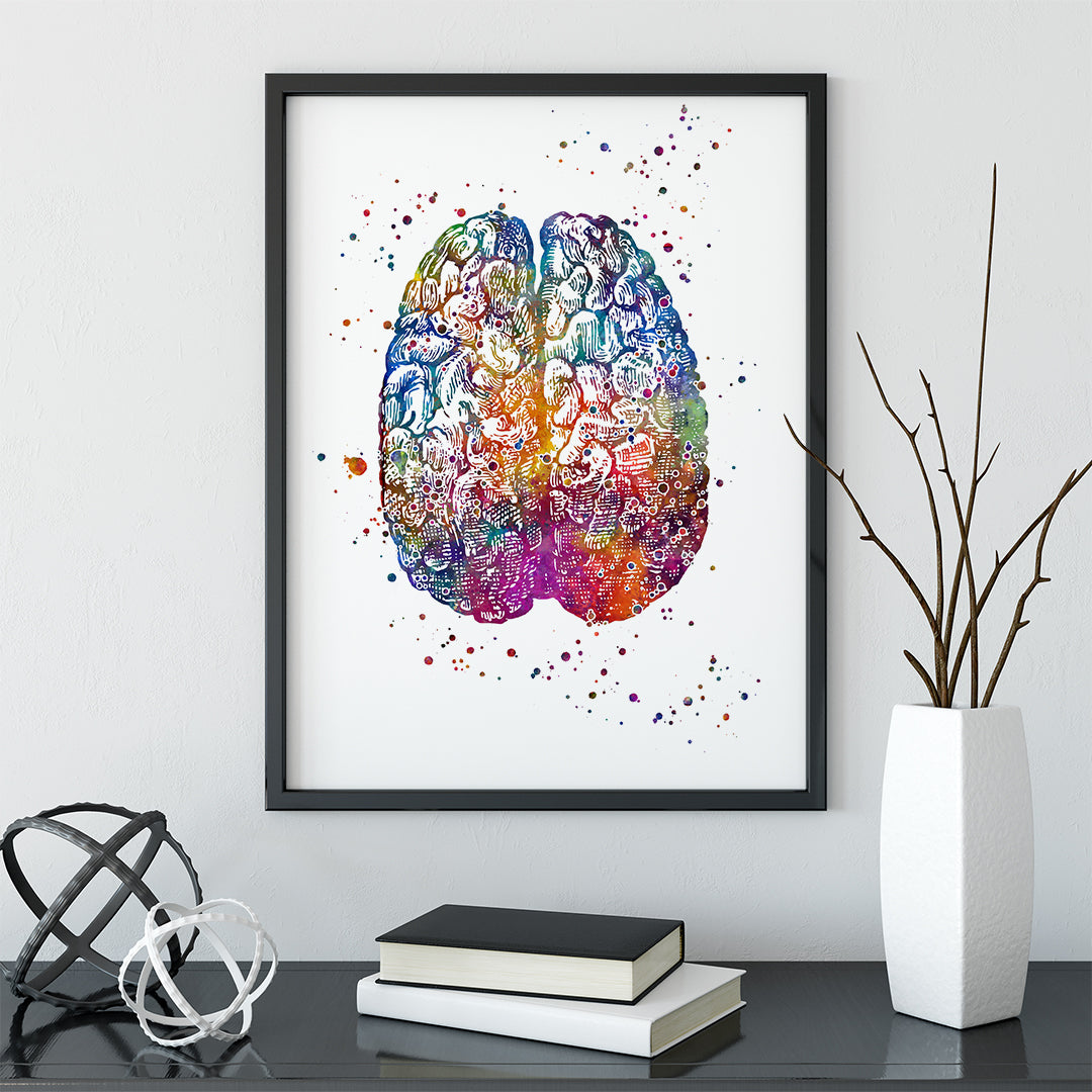 Brain Anatomy Art Print – Watercolor Poster for Medical Office