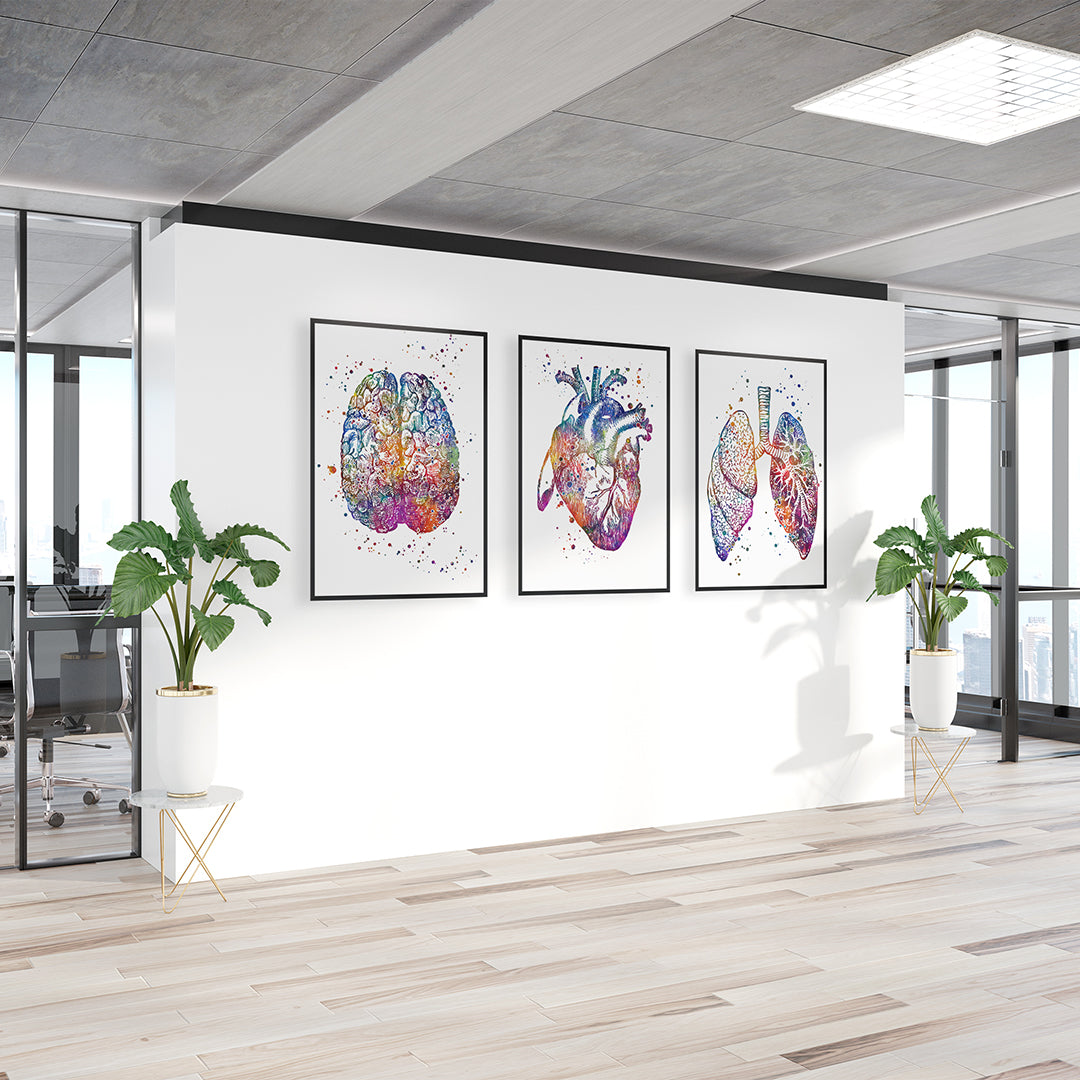 Brain Heart and Lungs Set of 3 Watercolor Prints