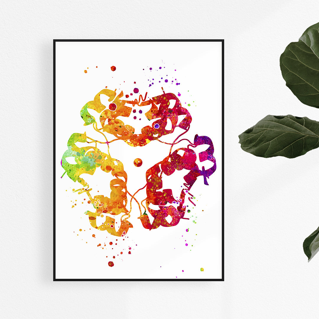 Insulin Molecule Watercolor Print Endocrinology Art