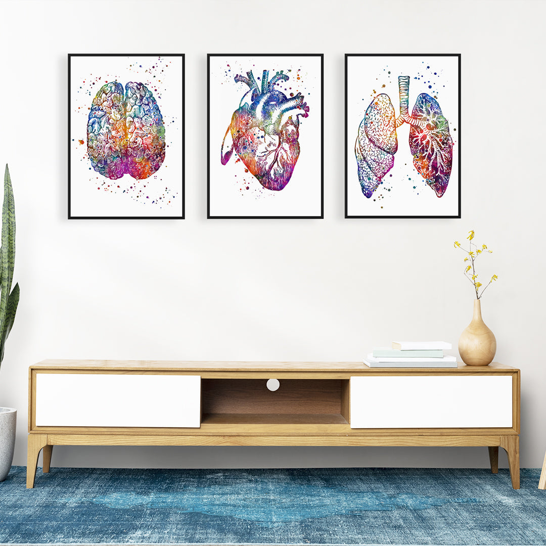 Brain Heart and Lungs Set of 3 Watercolor Prints