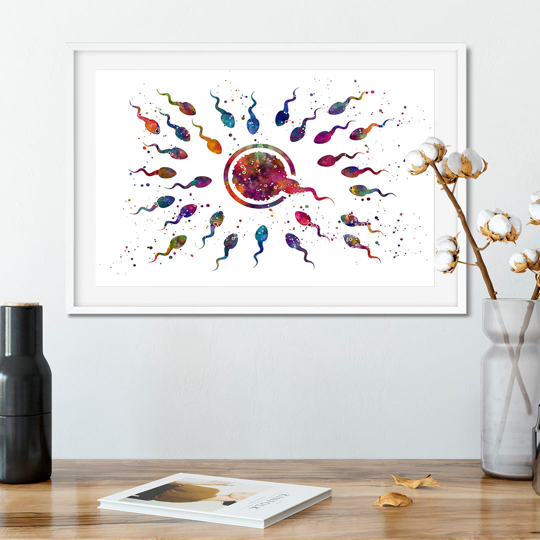 Human Fertilization Egg and Sperm Watercolor Art Print