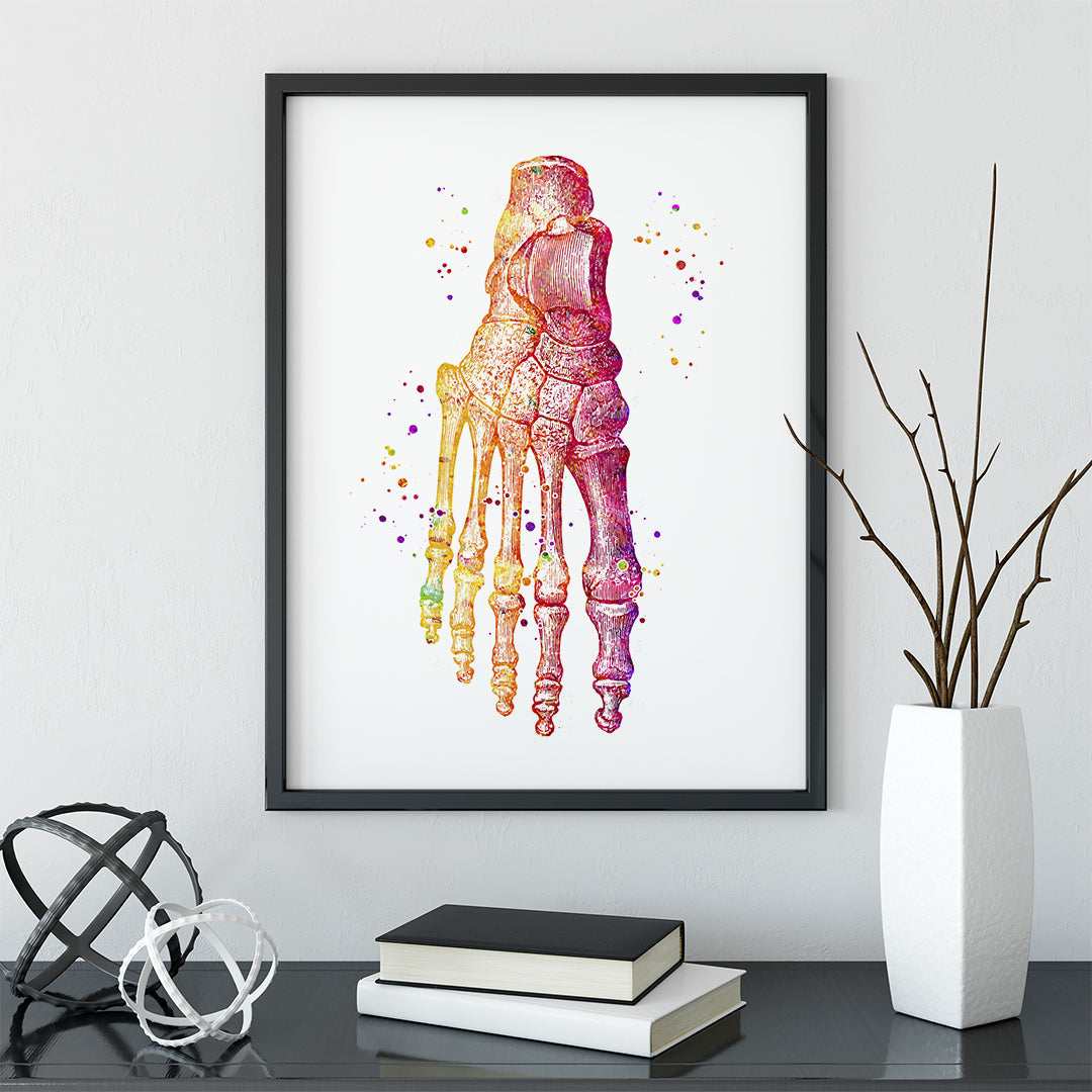 Foot bones Anatomy Art Watercolor Print