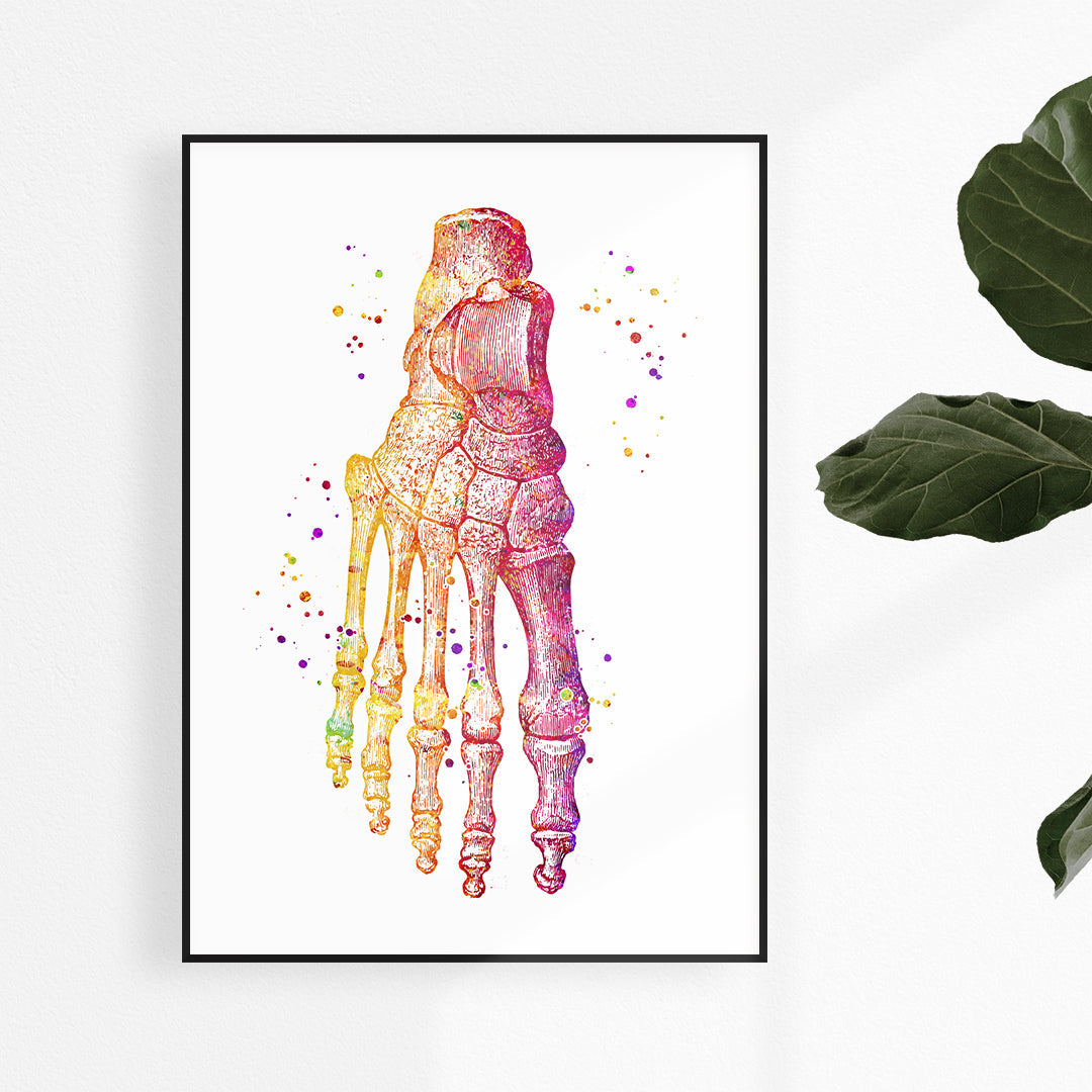 Foot bones Anatomy Art Watercolor Print