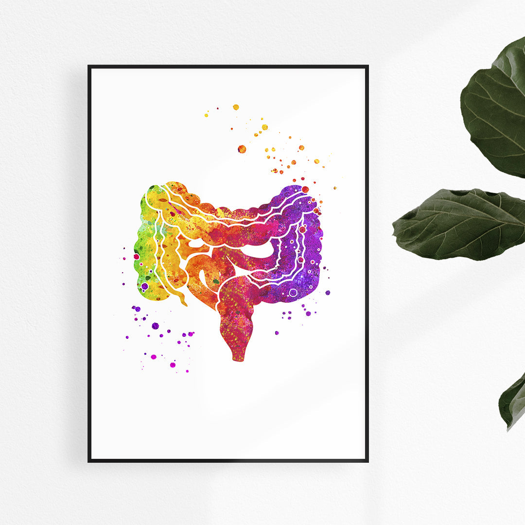Lower Gastrointestinal GI Tract Watercolor Art Print