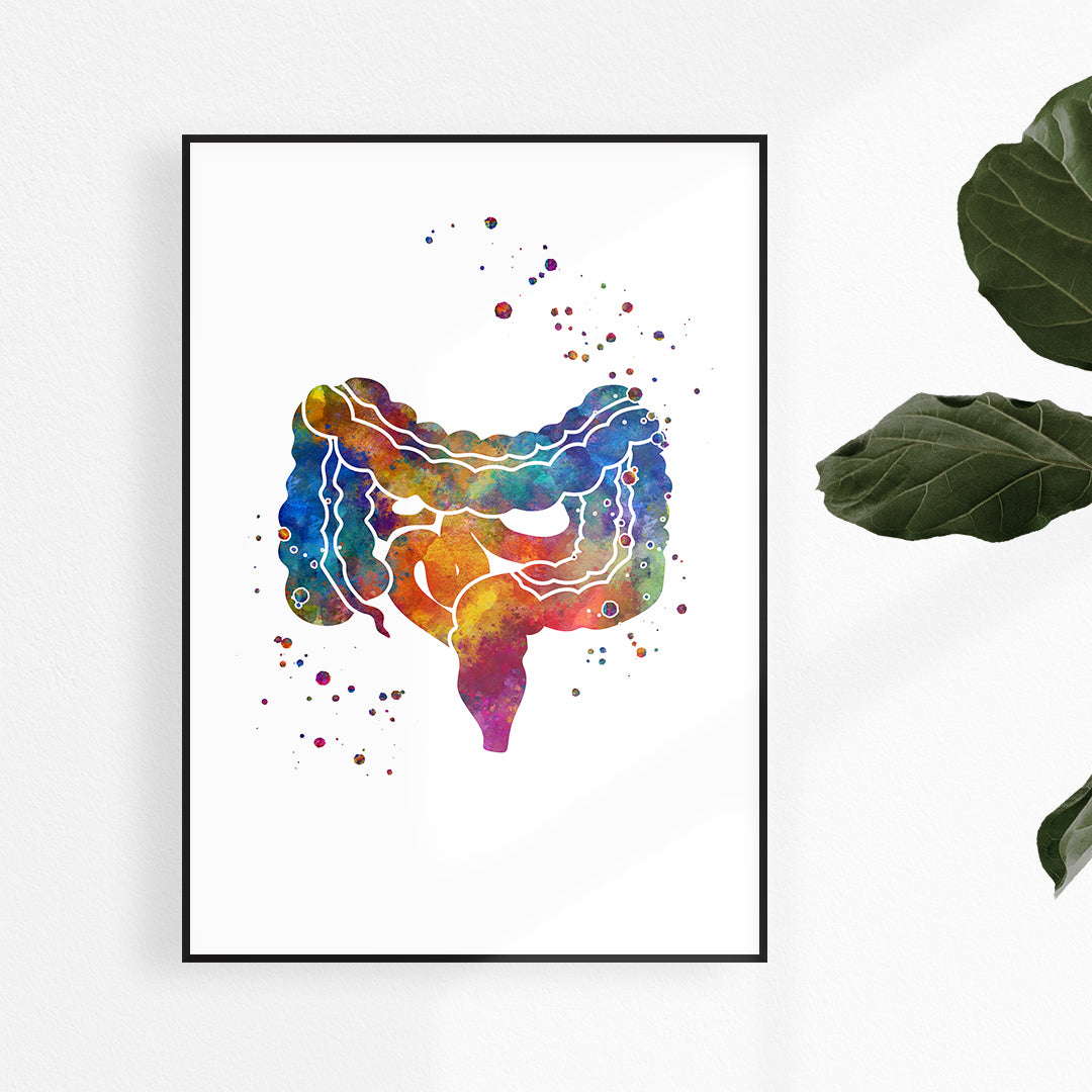 Large and Small Intestine Gi Tract Watercolor Art Print