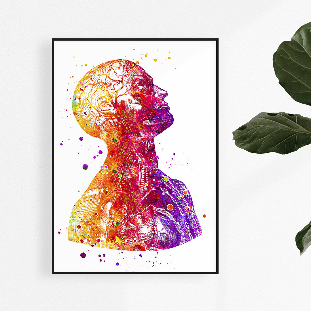 Anatomical Neuroscience Art Print – Medical Wall Art