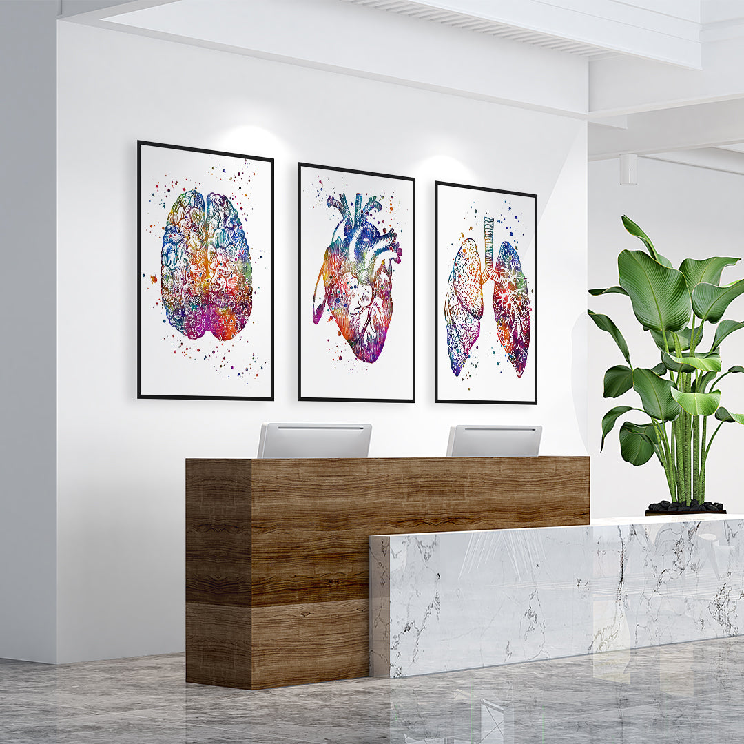 Brain Heart and Lungs Set of 3 Watercolor Prints