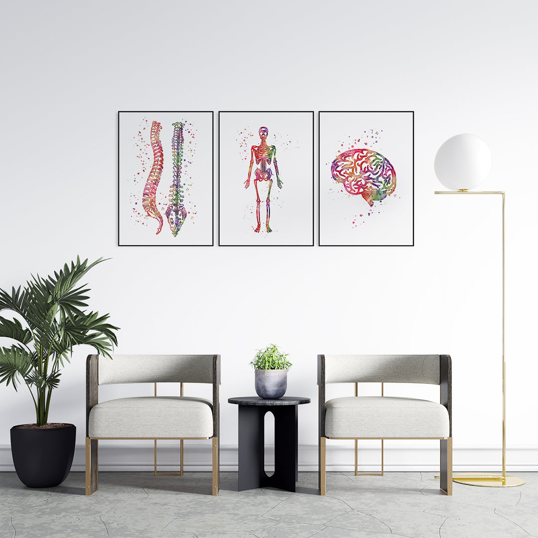 Human Anatomy Art Set of 3 Watercolor Prints
