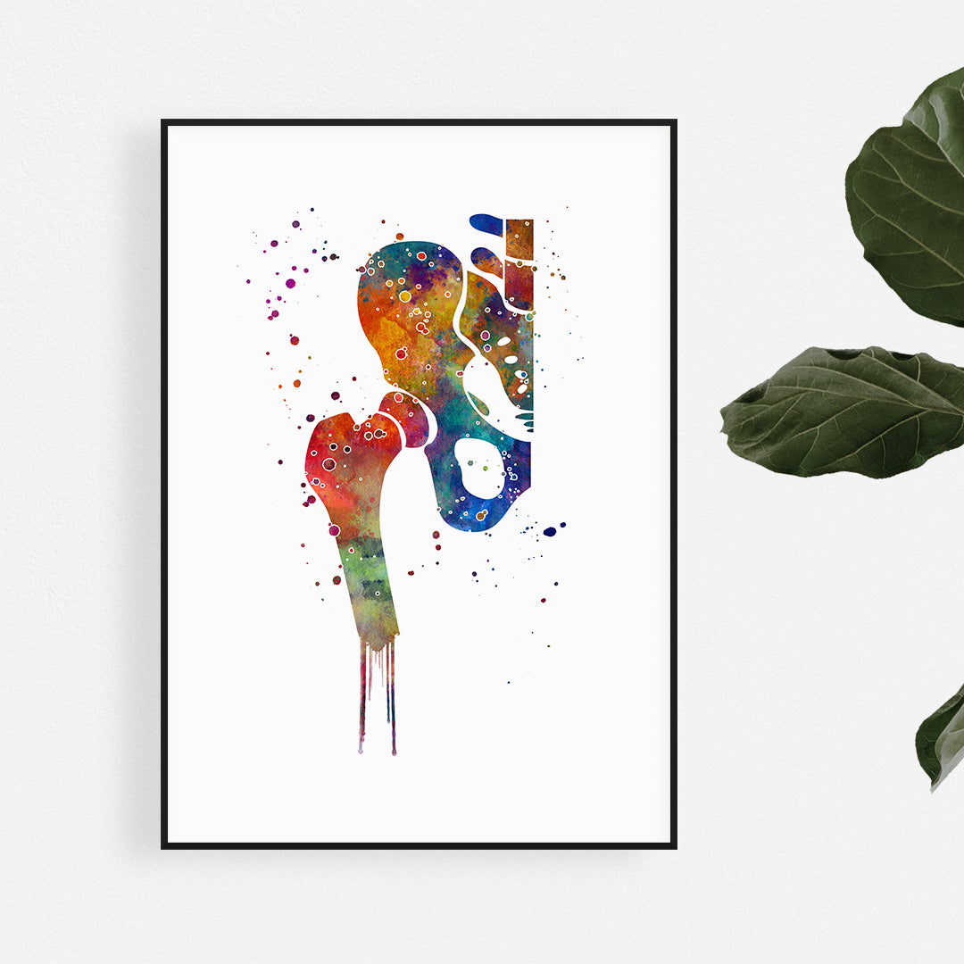 Hip Joint Pelvis and Femur Anatomy Watercolor Art Print