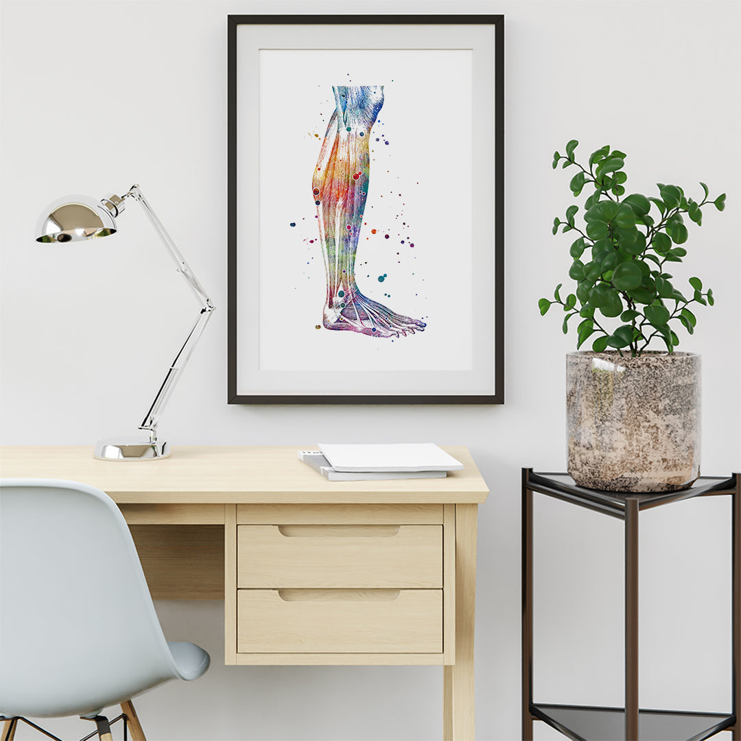 Human Lower Leg, Calf Muscles, Anatomy Art Watercolor Print