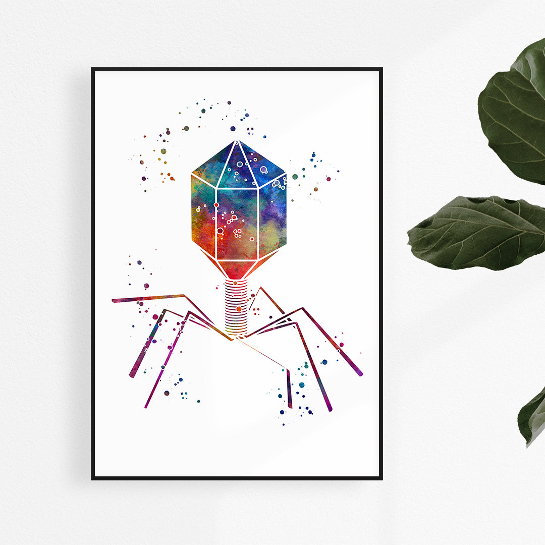 Bacteriophage Virus Biology Art Colorful Print