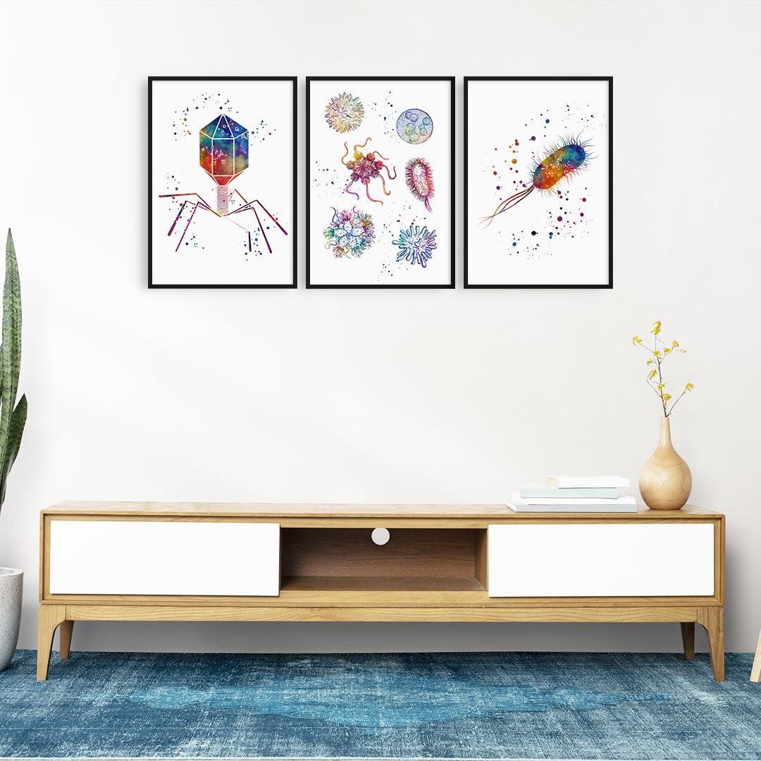 Microbiology Art - Set of 3 Watercolor Prints
