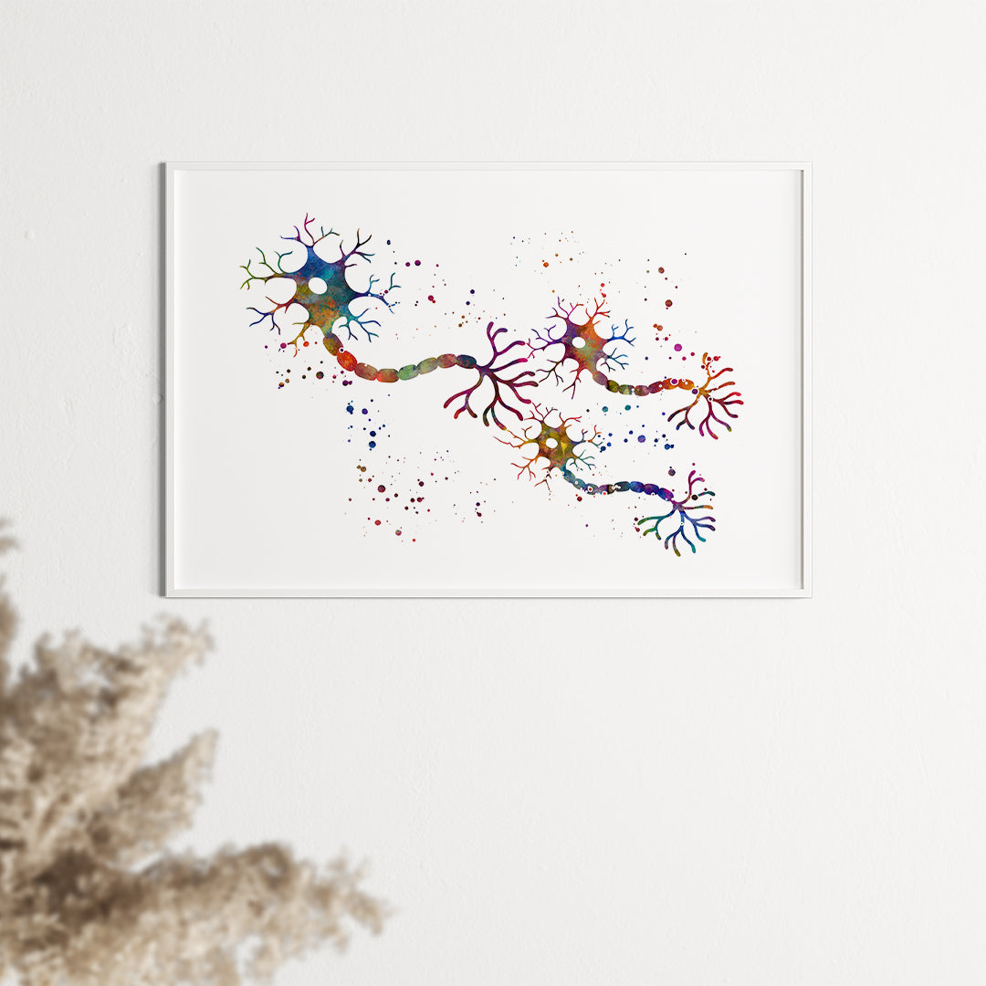 Connexion Of Neurons Nerve Impulse Watercolor Print