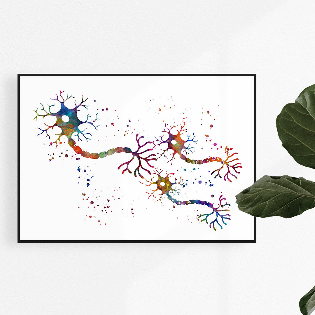 Connexion Of Neurons Nerve Impulse Watercolor Print