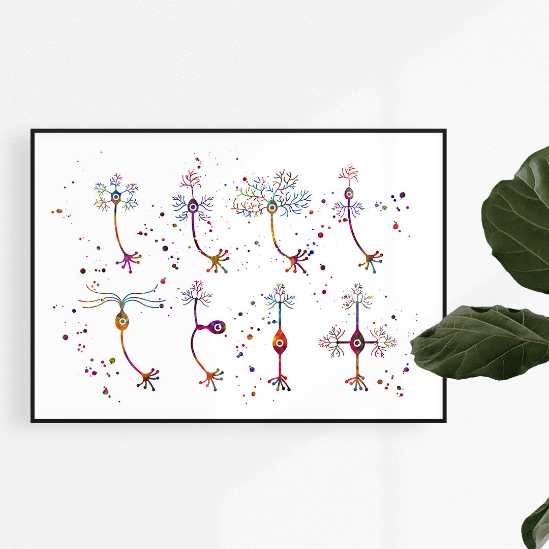 Types of Neurons Colorful Art Print