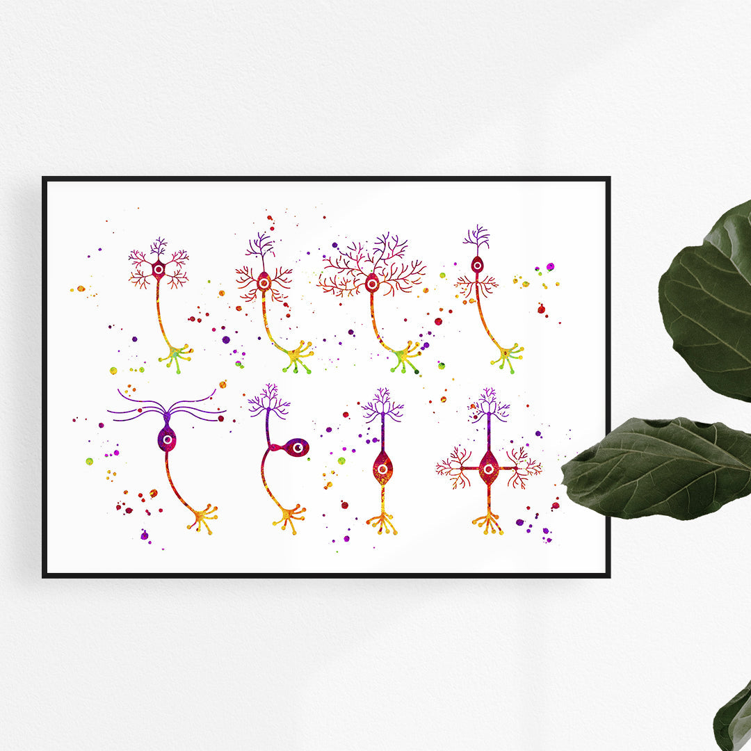 Neuroscience art Neurons Types Watercolor Art Print