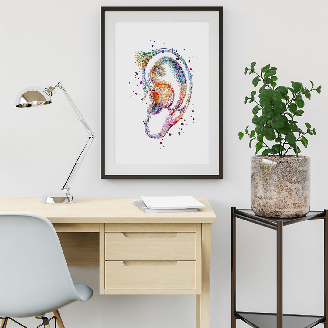 Human Outer Ear the Auricle Watercolor Art Print