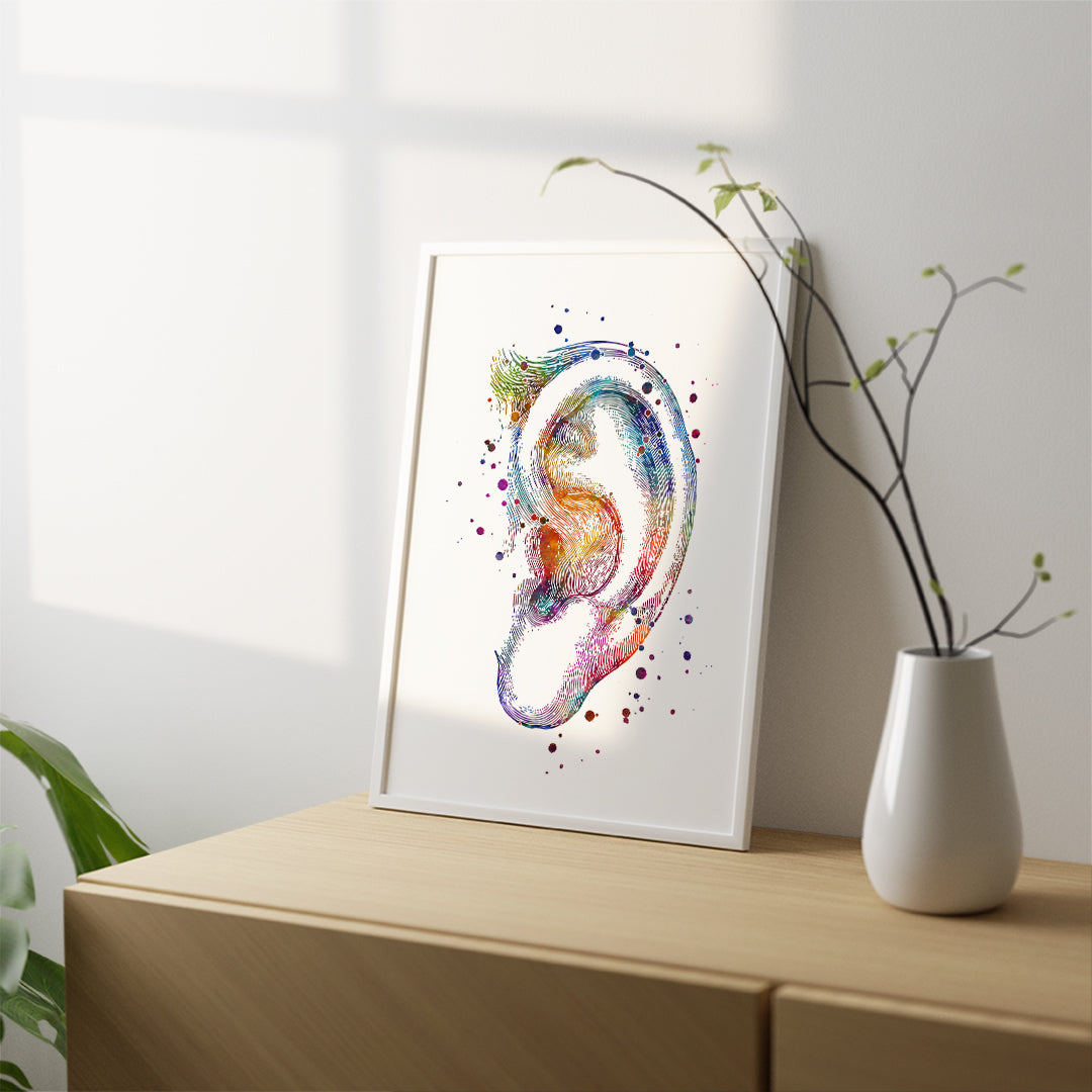 Human Outer Ear the Auricle Watercolor Art Print