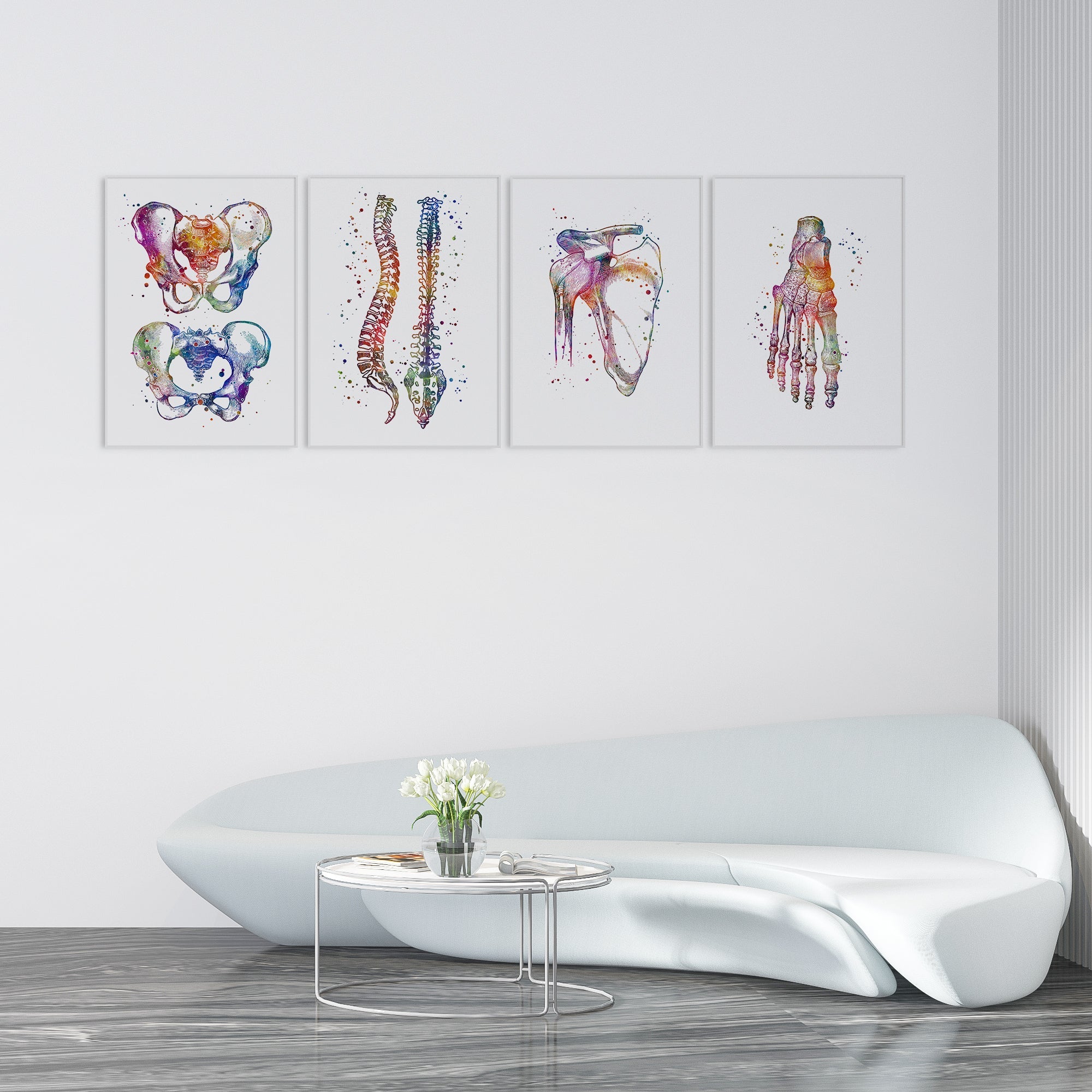 Anatomical Set of 4 Colorful Prints - Physiotherapist Office Decor