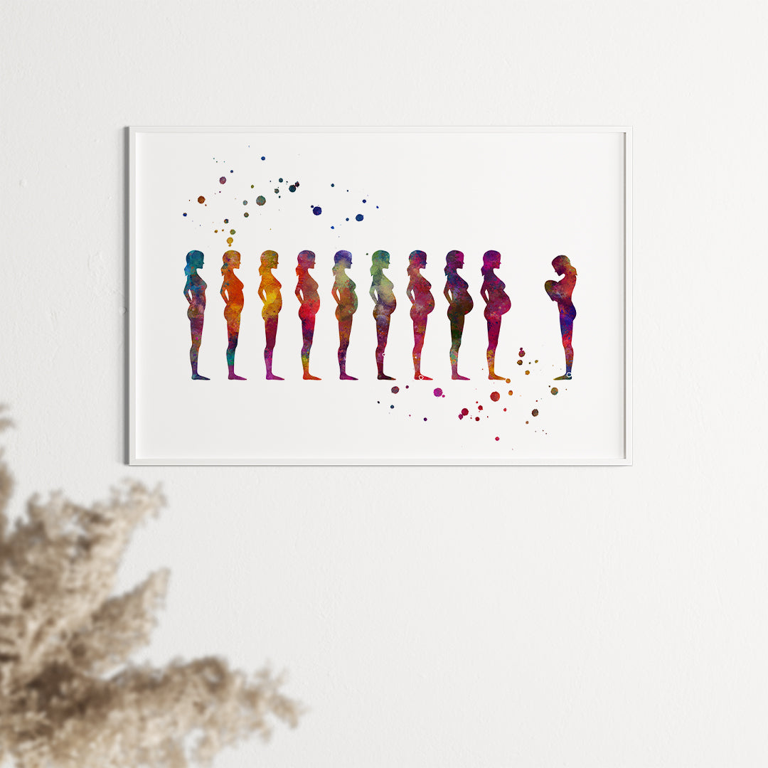Pregnancy stages Watercolor Print for Fertility Clinics Wall Decor