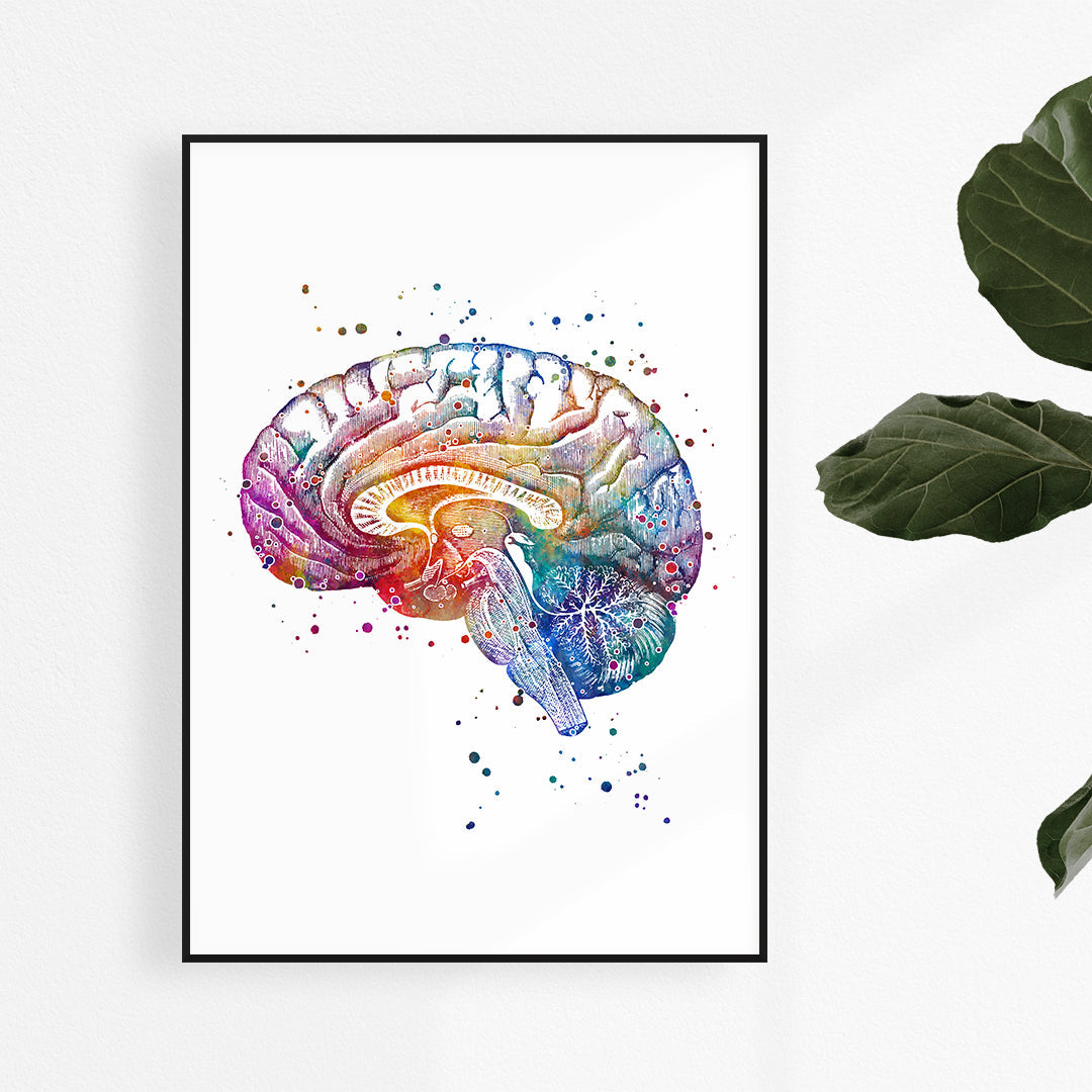 Human Brain Watercolor Print - Neurology Wall Art for Office