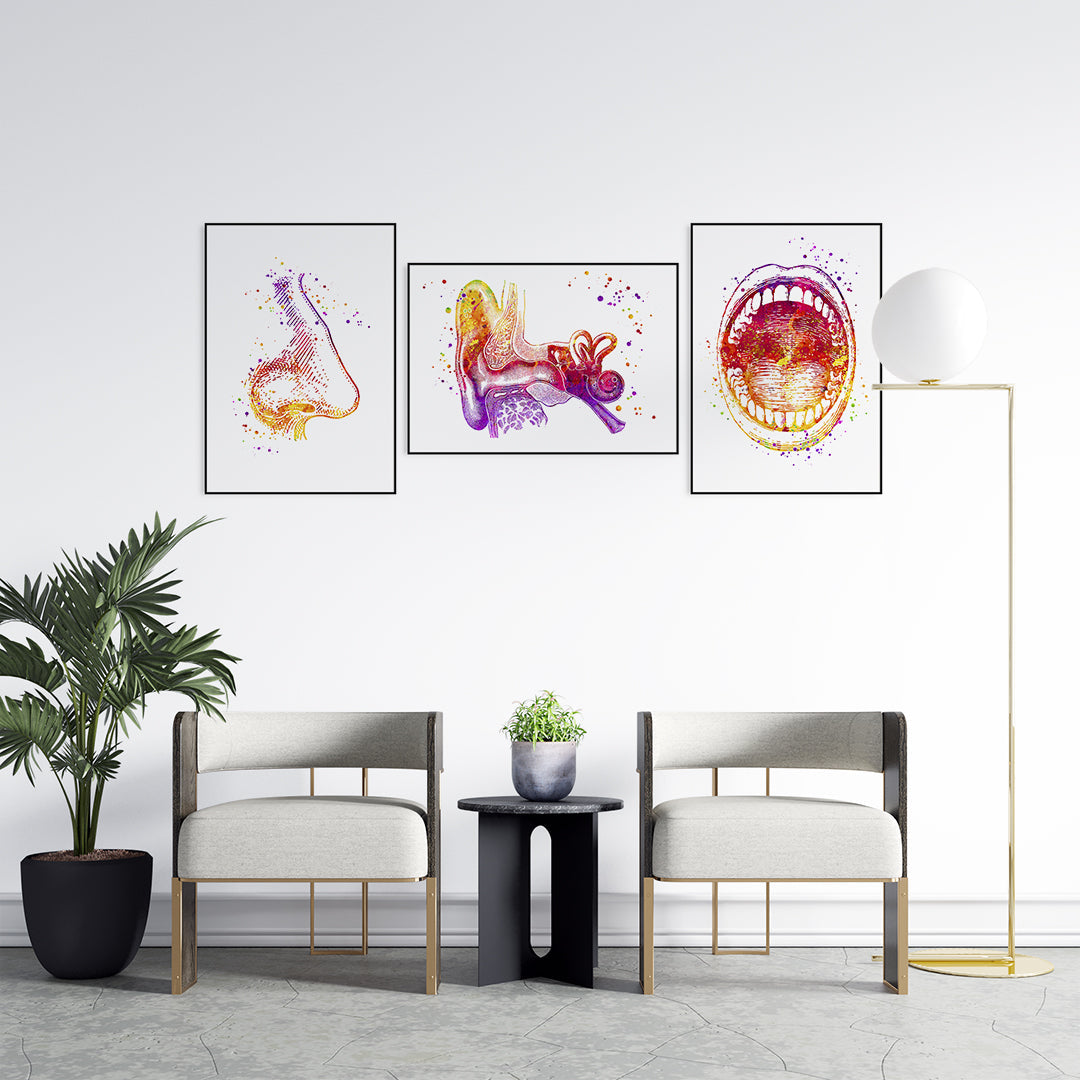 ENT Art Set of 3 Watercolor Prints