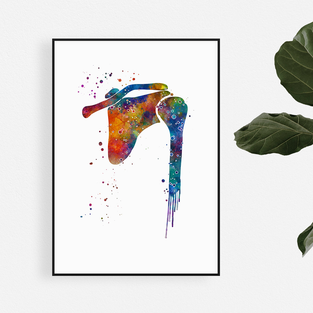 Shoulder Joint Watercolor Anatomy Art Print