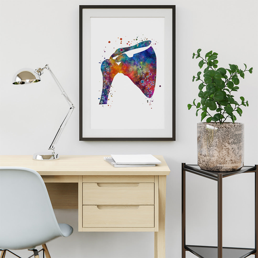 Shoulder Anatomical Watercolor Art Print