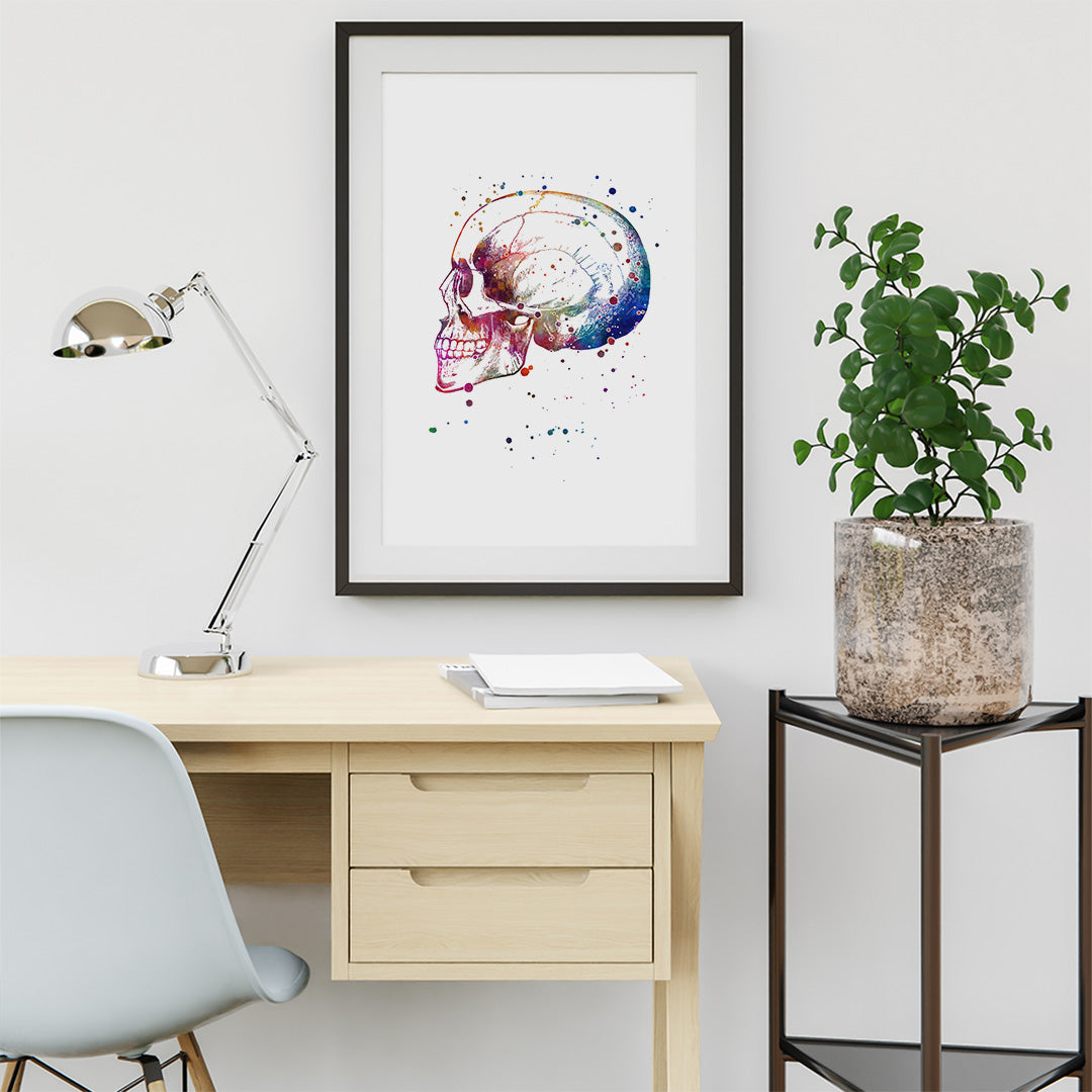 Skull Anatomy Watercolor Print – Medical Office Wall Art