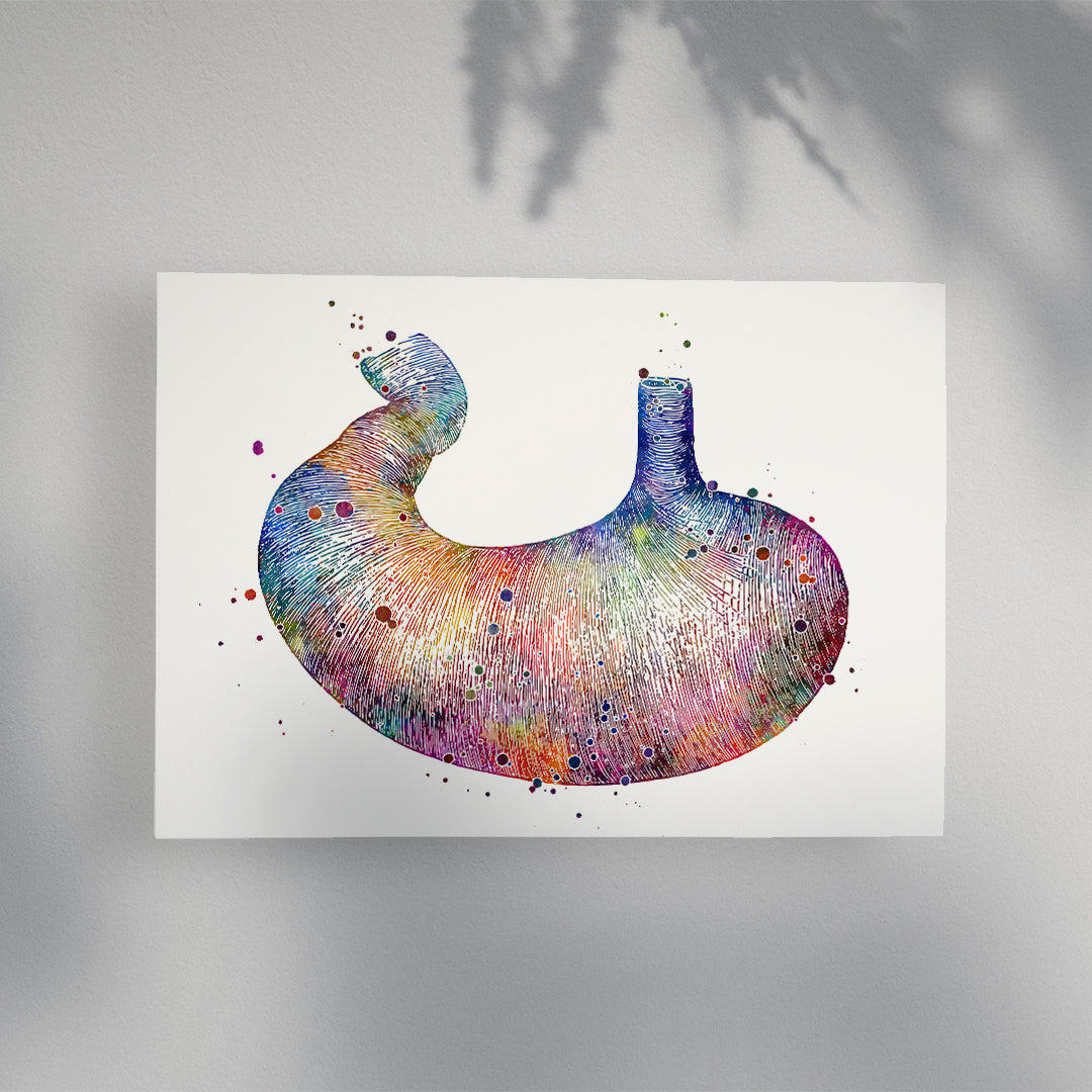 Human Stomach Anatomical Watercolor Art Print