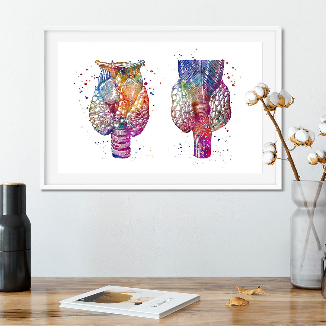 Thyroid Gland Colorful Watercolor Anatomy Art Print