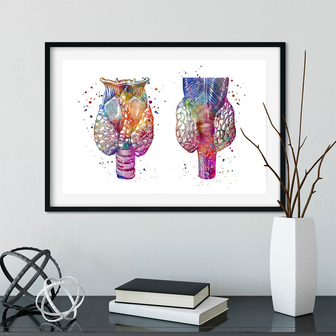 Thyroid Gland Colorful Watercolor Anatomy Art Print