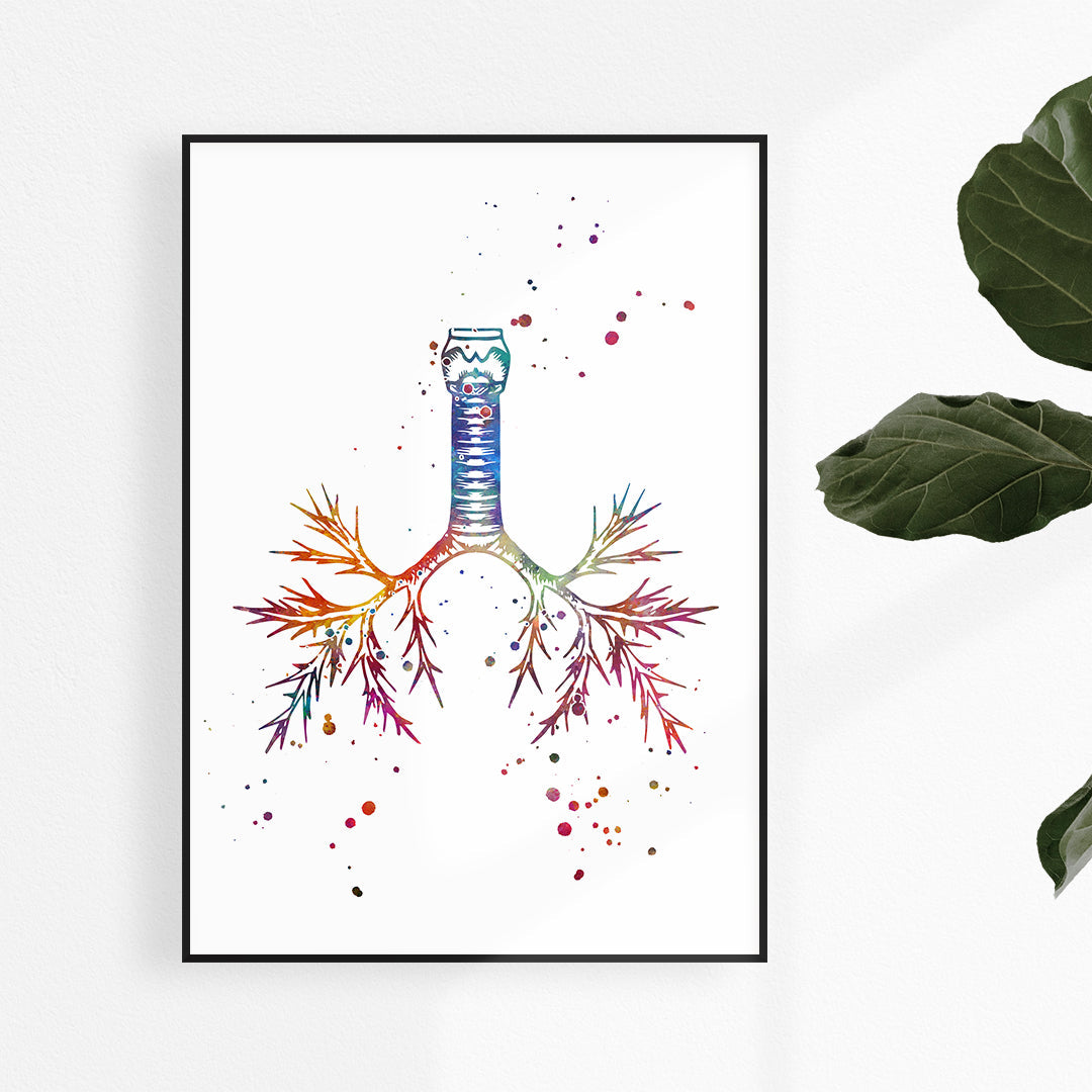 Windpipe Trachea Anatomy Art Watercolor Print