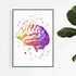 Human Brain Atnatomy Watercolor Artwork
