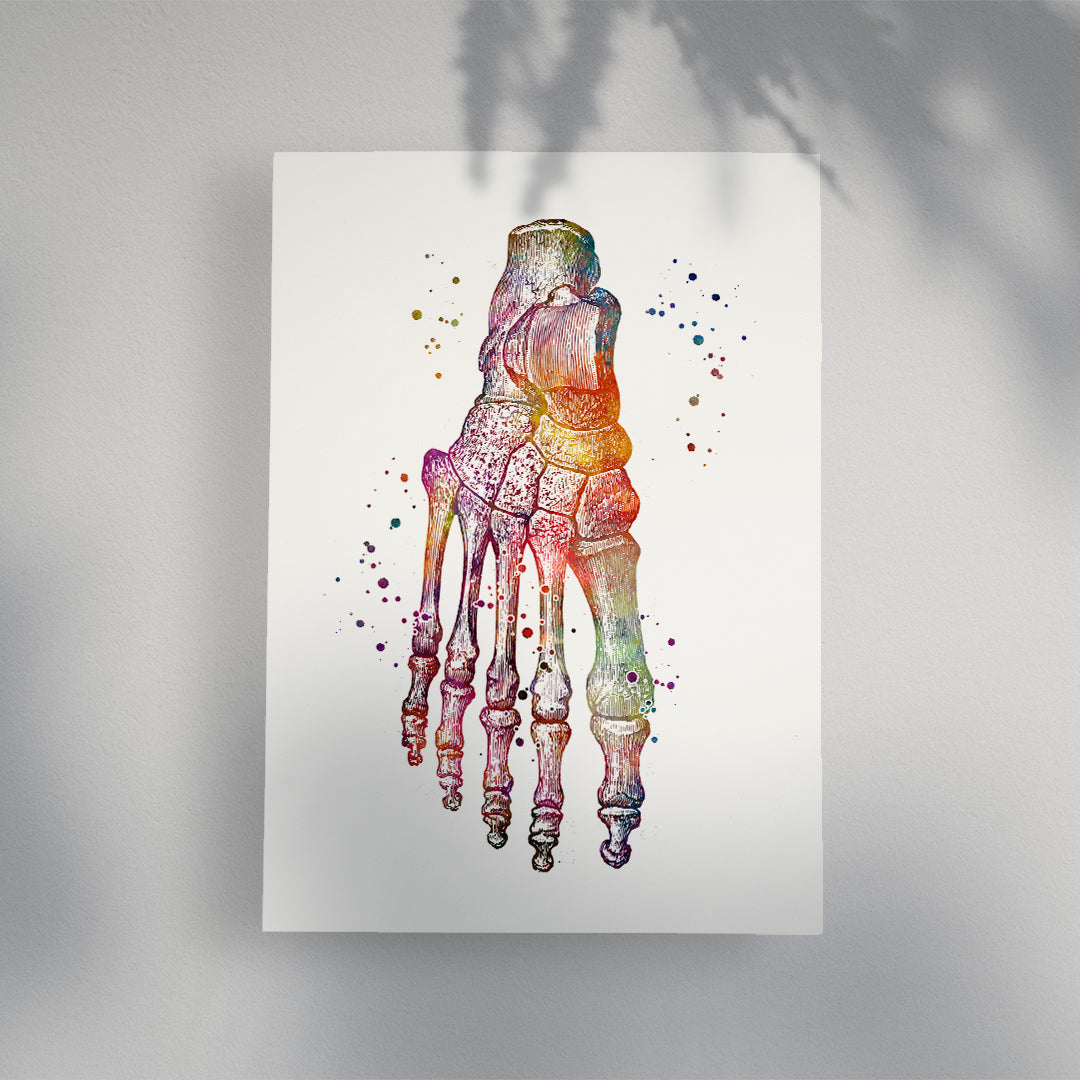 Foot Anatomy Art – Watercolor Print for Podiatry & Clinics