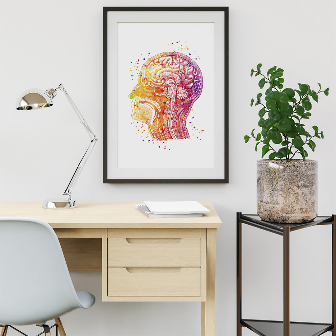 Human Head Longitudinal Section Watercolor Print