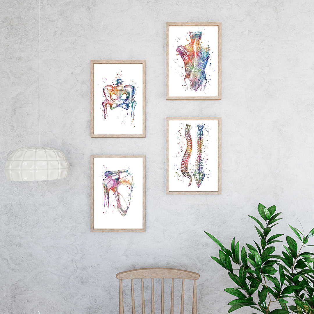Physiotherapy Wall Decor - Set of 4 Art Prints