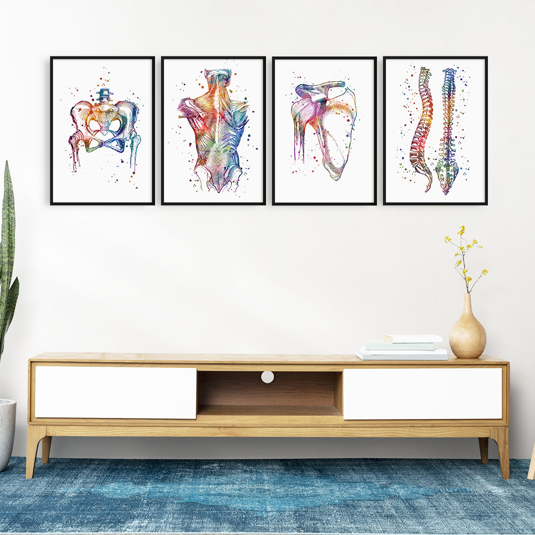 Physiotherapy Wall Decor - Set of 4 Art Prints