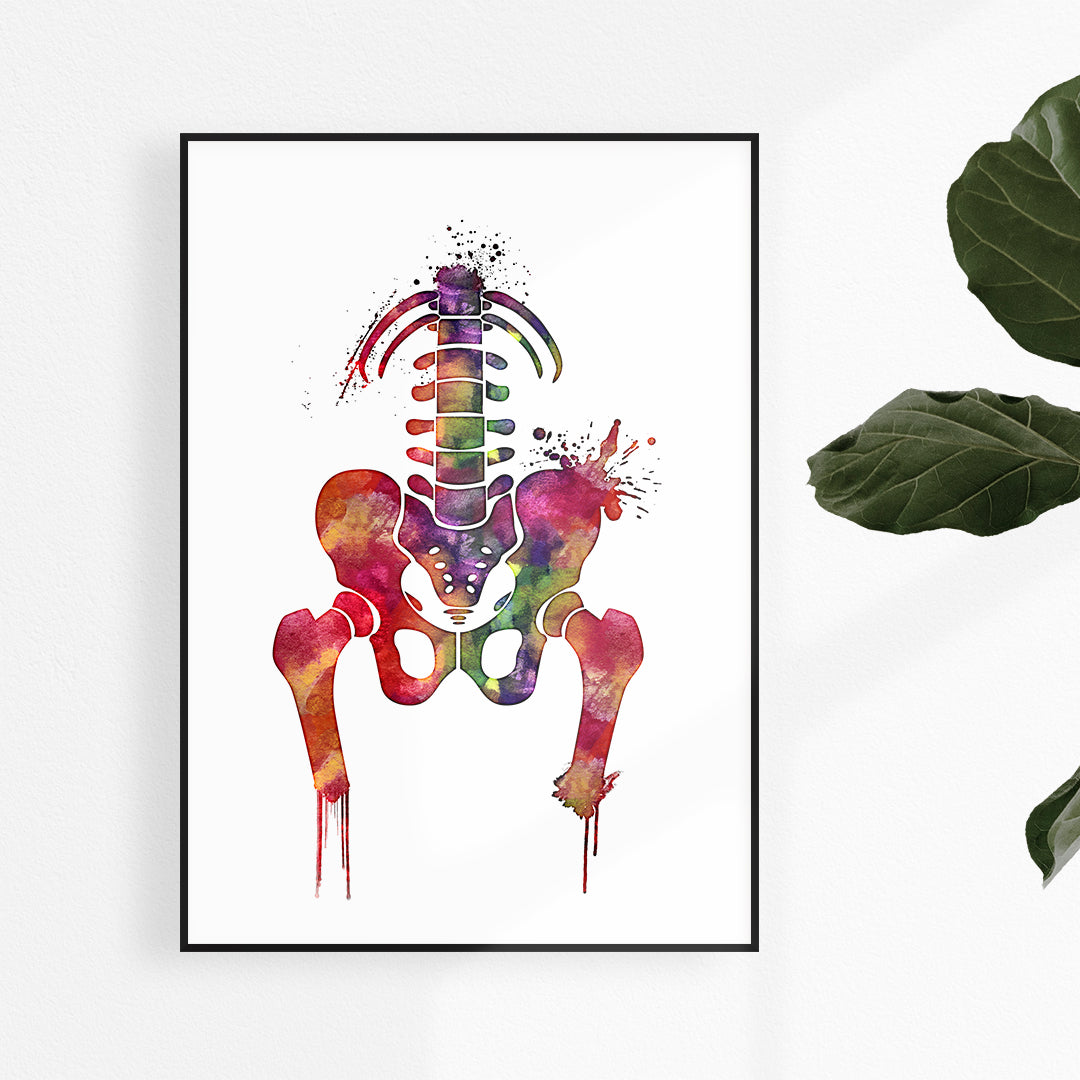 Pelvis Girdle Аbstract Anatomy Watercolor Art Print