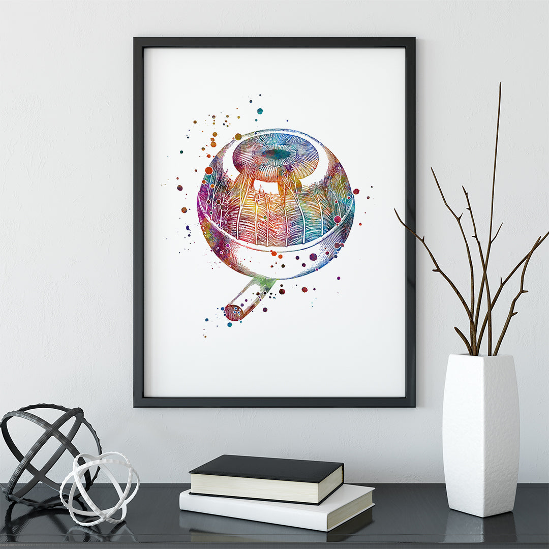 Human Eyeball Anatomy Art Medical Colorful Print