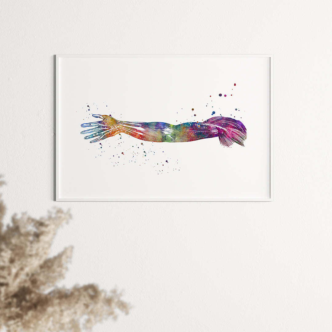 Hand and Arm Muscles Human Anatomy Art Watercolor Print