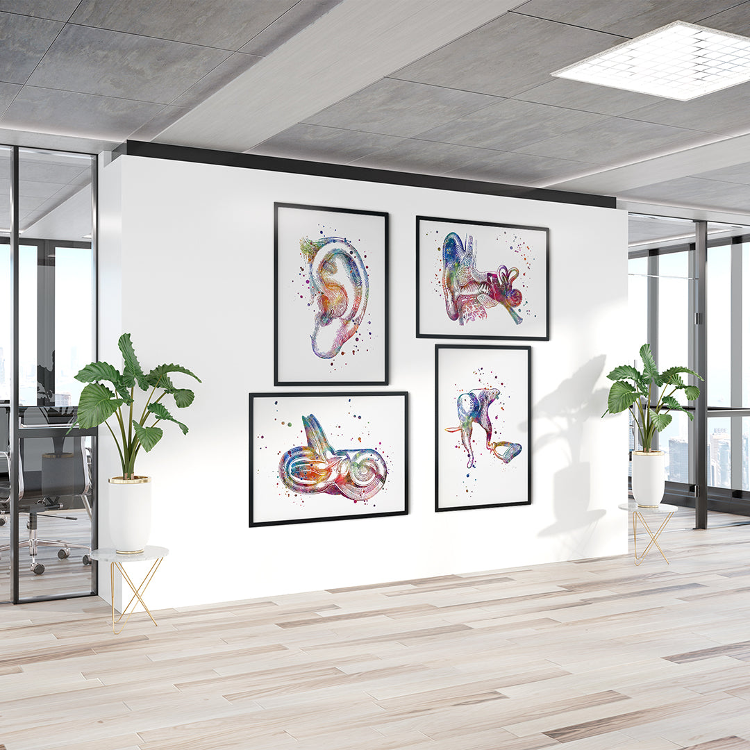Ear Anatomy Set of 4 Prints - Audiology Wall Art