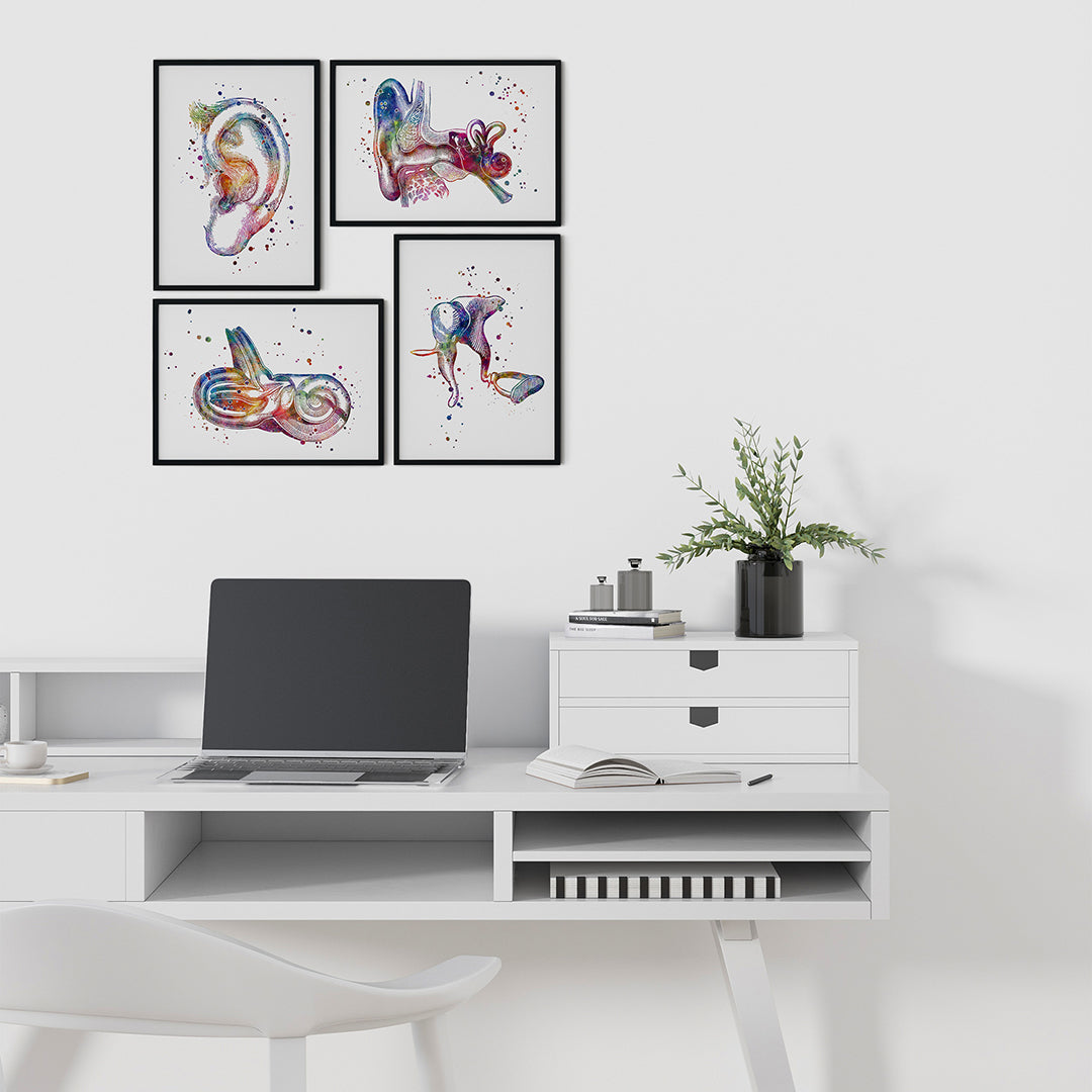 Ear Anatomy Set of 4 Prints - Audiology Wall Art