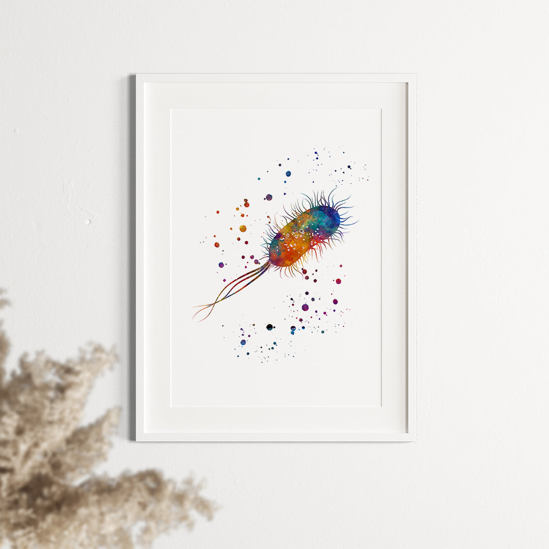 E Coli Watercolor Print Science Decor