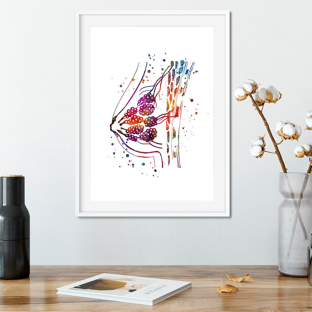Women Breast Anatomy Watercolor Art Print